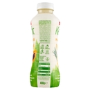 Milk Kefir Multifrutti 480 g